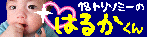18�g���\�~�[�Ɠ����䂪�q��